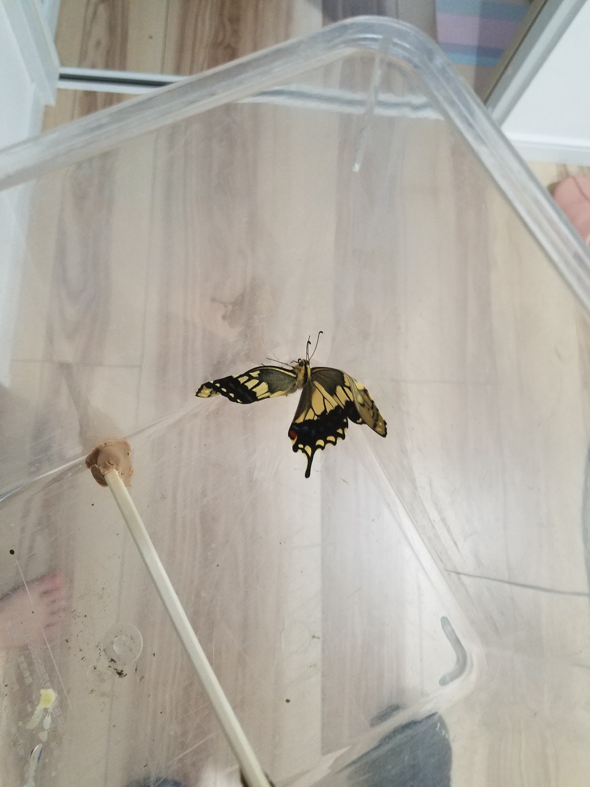 １５．感性を磨くということ