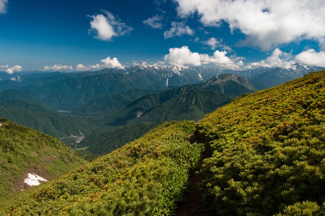 １１．木を使って伊勢原にスタジアムを作る①